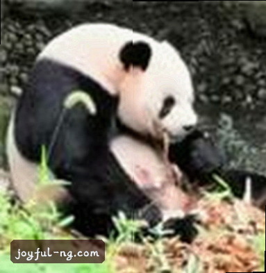 李姐